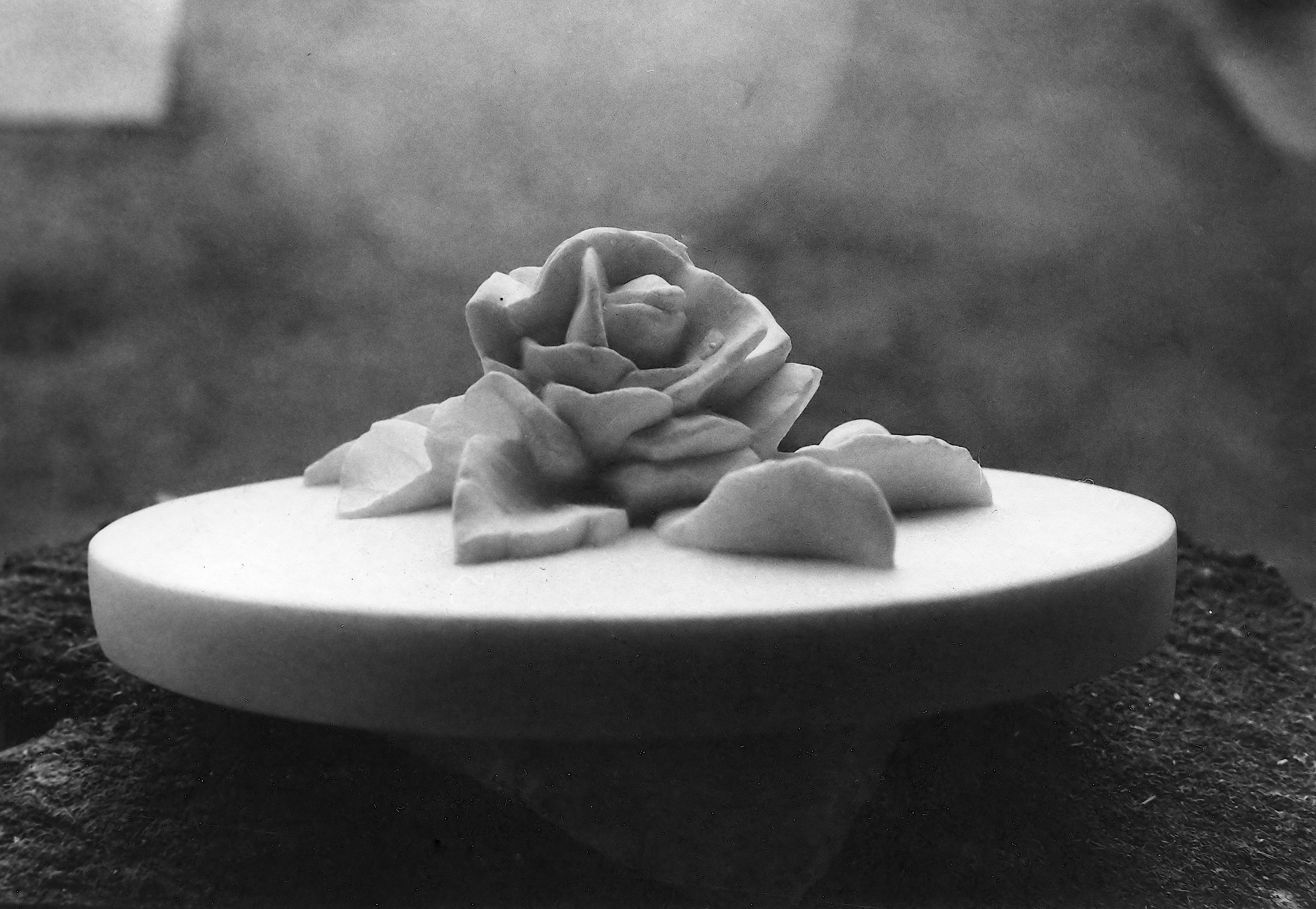 STUDIES10